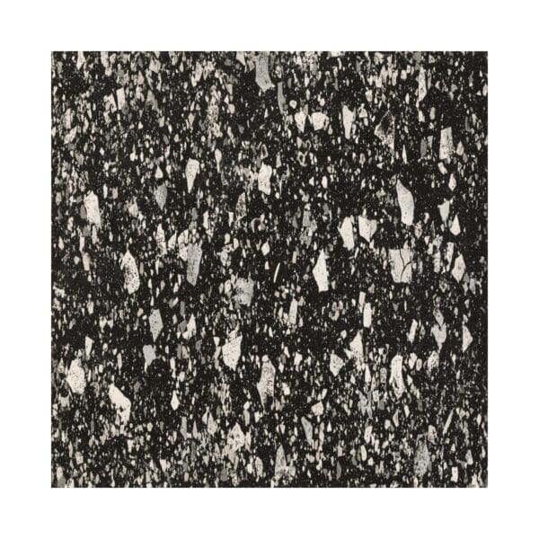 Terrazzo Venice Graphite Tile