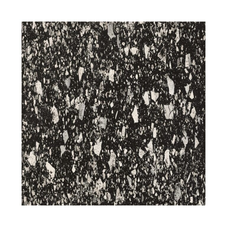 Terrazzo Venice Graphite Tile