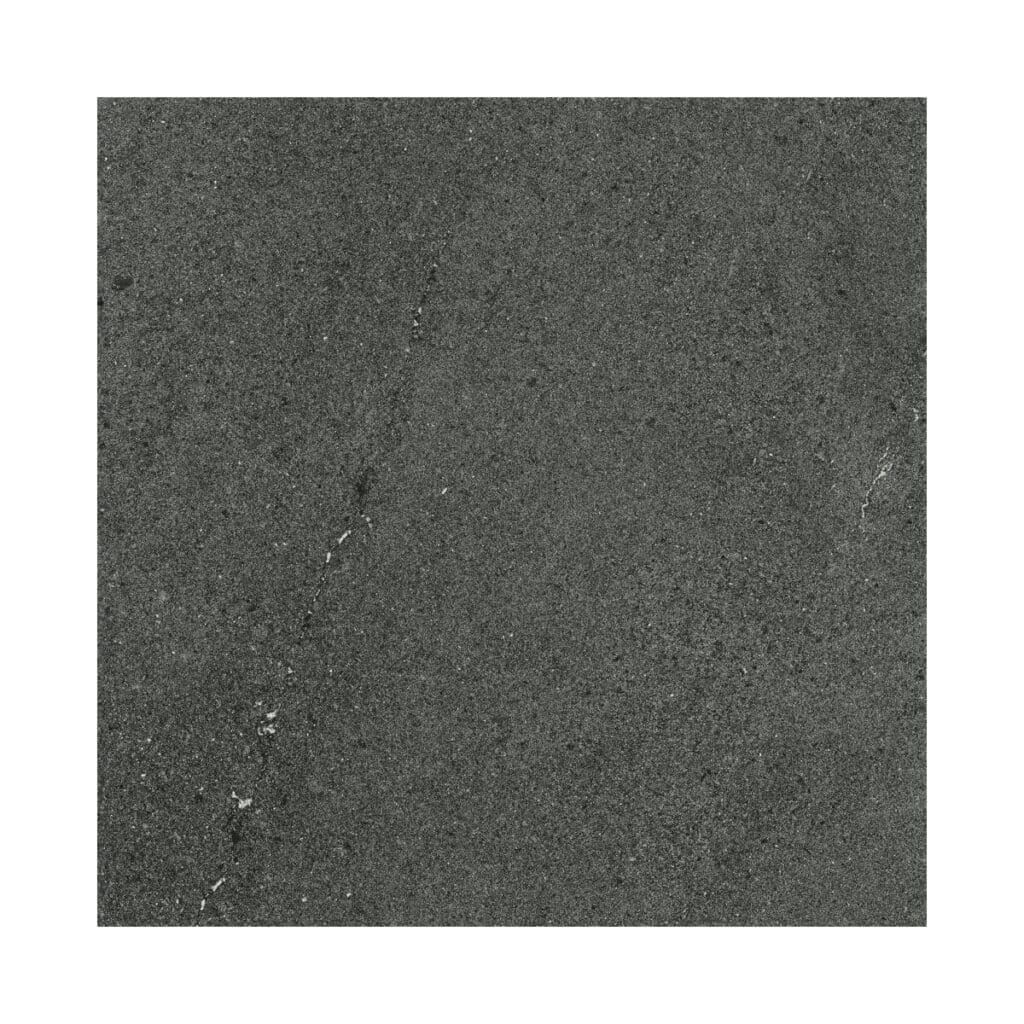 CTL-Forest Porcelain Tile