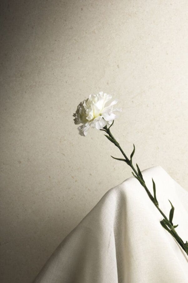 Victorian Stone Moon Cream Tile