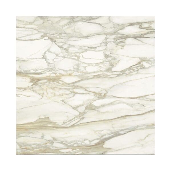 Marble Lab Calacatta Dorato Tile