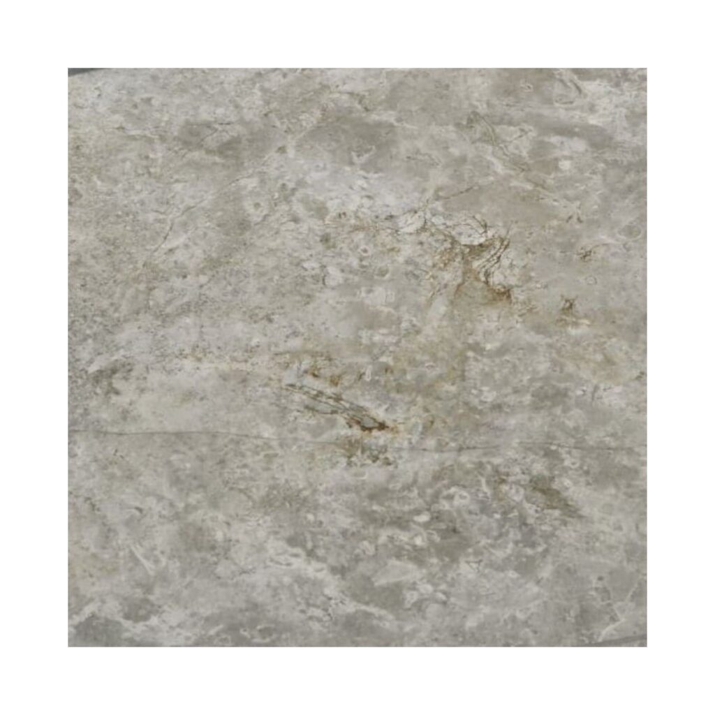 PZO-Fior Di Bosco Porcelain Tile