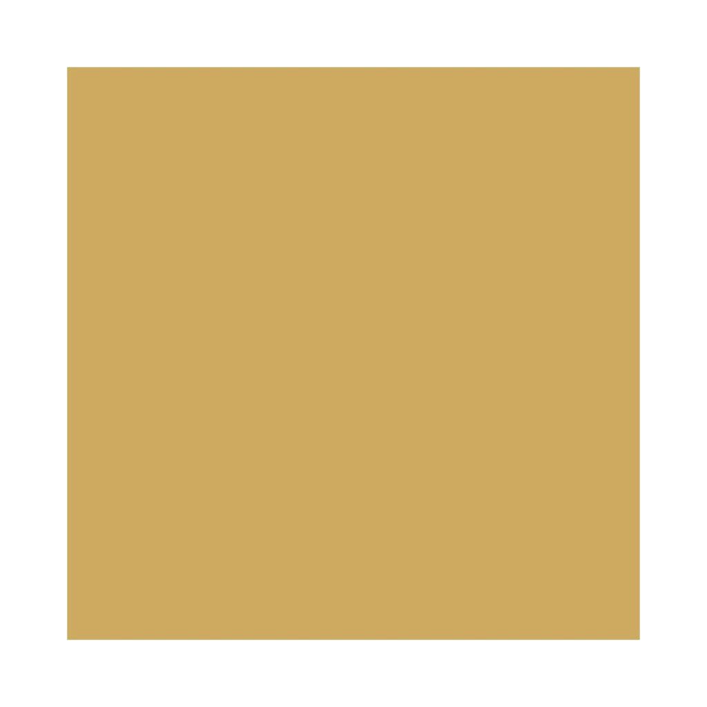 ARR-Curry Porcelain Tile
