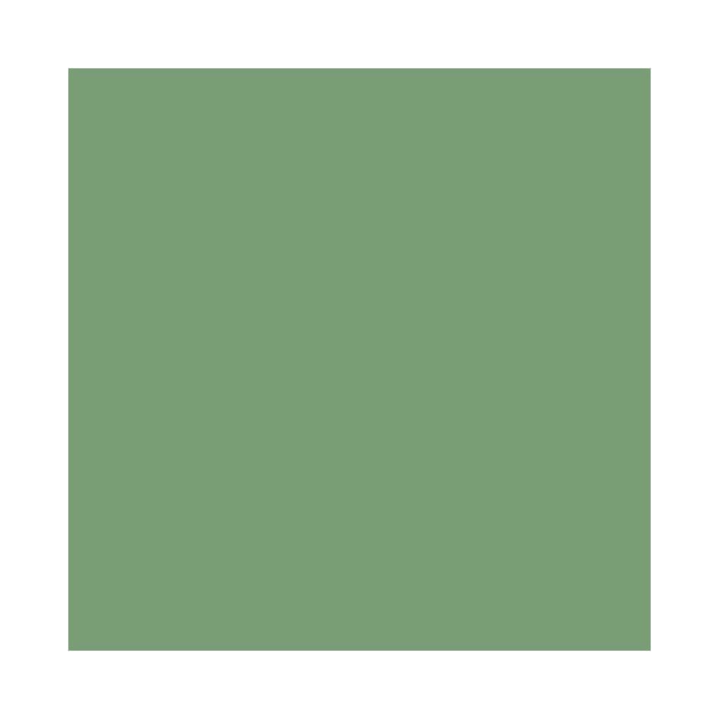 ARR-Frog Porcelain Tile