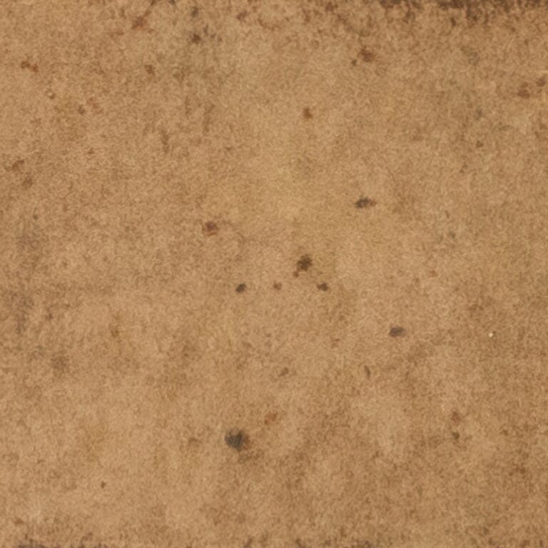 PAL Terra